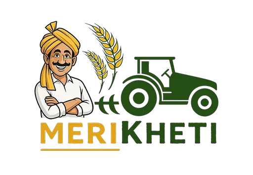 Merikheti