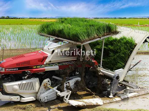MAHINDRA RICE TRANSPLANTER MP461