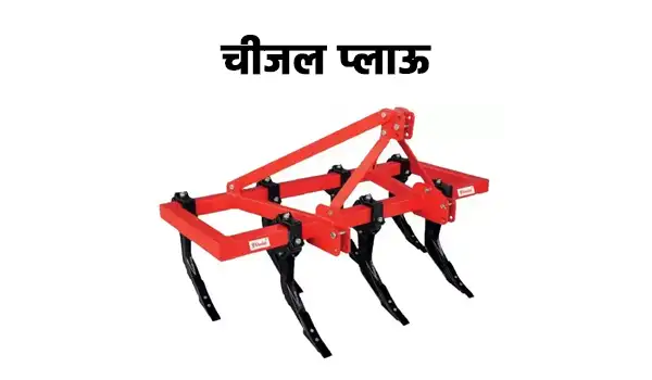 चीजल प्लाऊ
