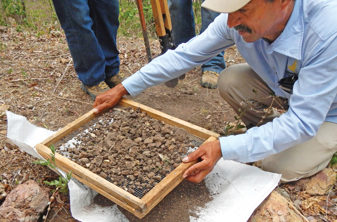 soil namuna