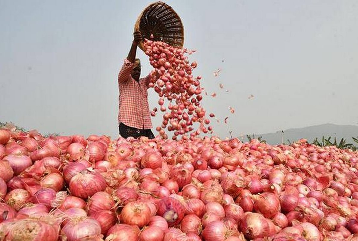 प्याज़ भंडारण योजना से कितना होगा लाभ