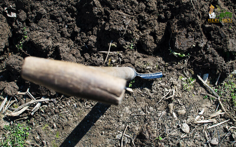 Improve soil quality