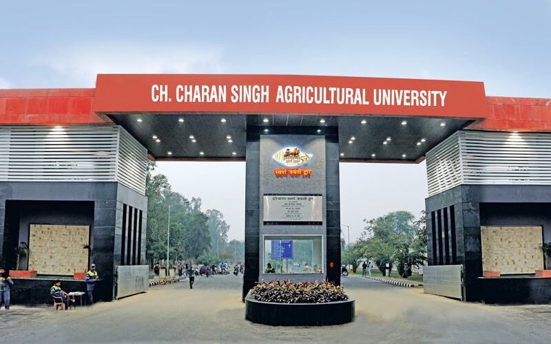 agricultural university