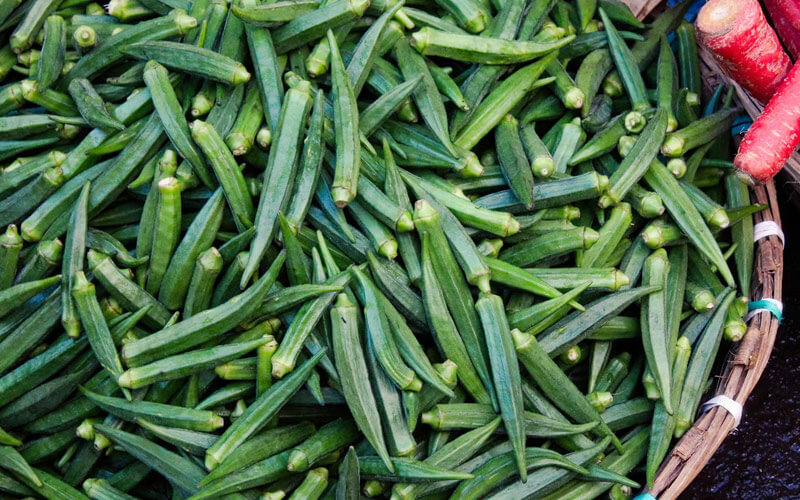 भिंडी सब्जियां bhindi ki kheti