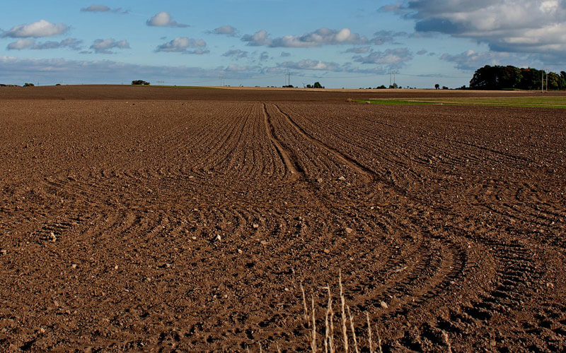 Arbi ki khet ki teyari