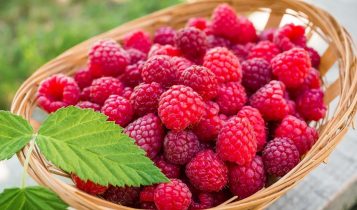 Raspberry