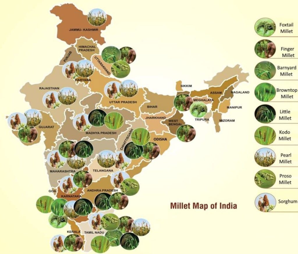 भारत का राज्यवार बाजरा नक्शा (from https://agricoop.nic.in/sites/default/files/Crops.pdf)