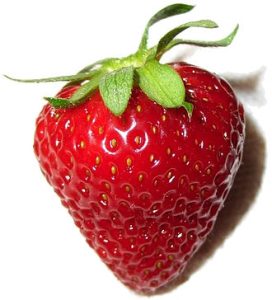 एक उत्तम स्ट्रॉबेरी (A Perfect Strawberry)