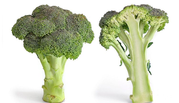 Broccoli and its cross section isolated on a white background