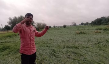 Farmer Harendra in front of damaged crops