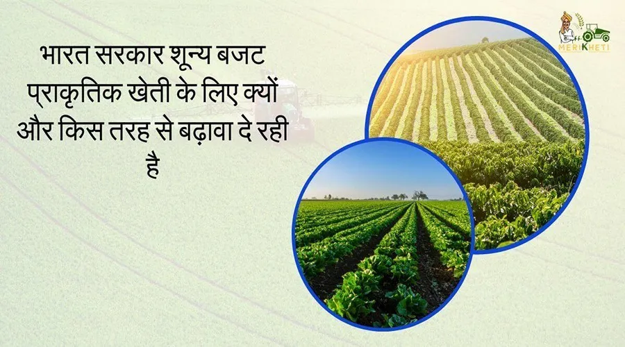 भारत सरकार शून्य बजट प्राकृतिक खेती के लिए क्यों और किस तरह से बढ़ावा दे रही है