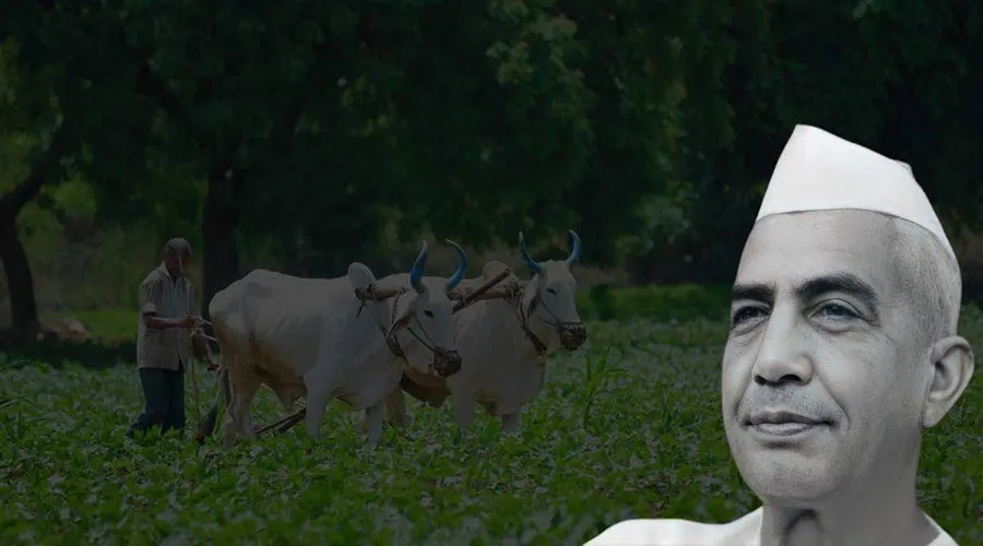 Kisan diwas 2023: किसान दिवस पूर्व प्रधानमंत्री चौधरी चरण सिंह जी के जन्मदिवस पर ही क्यों मनाया जाता है?