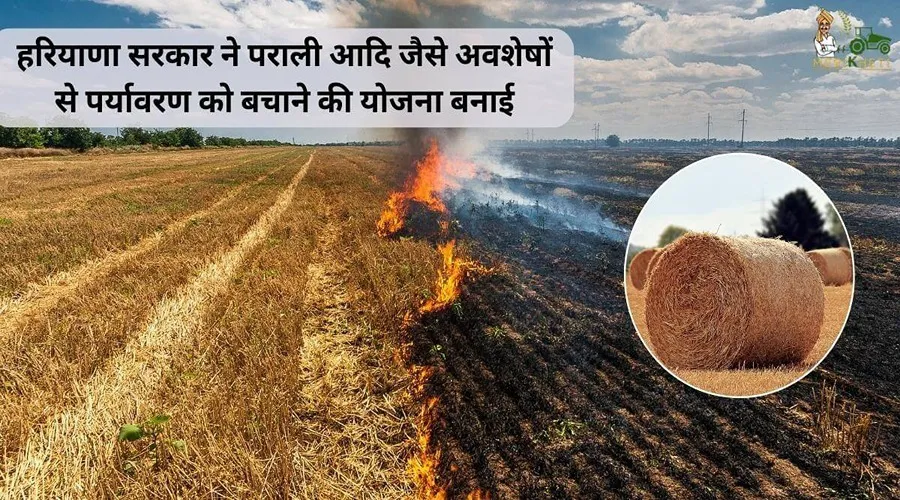 हरियाणा सरकार ने पराली आदि जैसे अवशेषों से पर्यावरण को बचाने की योजना बनाई