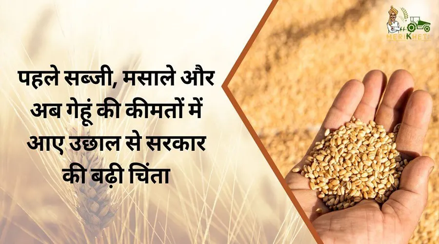 पहले सब्जी, मसाले और अब गेंहू की कीमतों में आए उछाल से सरकार की बढ़ी चिंता