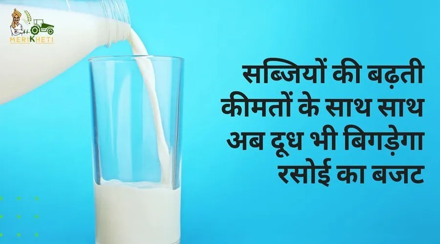 सब्जियों की बढ़ती कीमतों के साथ साथ अब दूध भी बिगड़ेगा रसोई का बजट