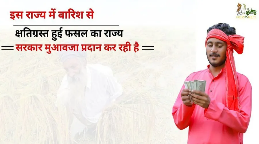 इस राज्य में बारिश से क्षतिग्रस्त हुई फसल का राज्य सरकार मुआवजा प्रदान कर रही है
