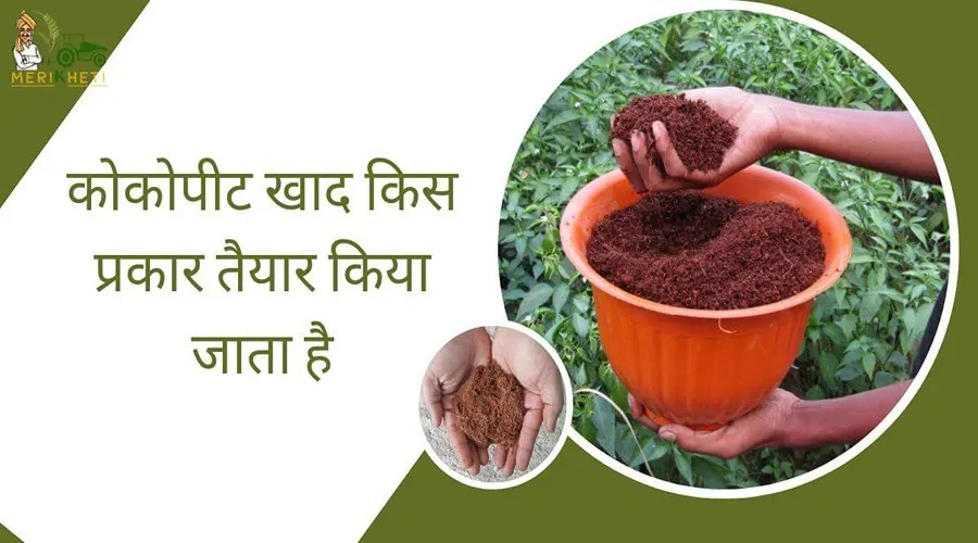 कोकोपीट खाद किस प्रकार तैयार किया जाता है, इससे क्या-क्या फायदे होंगे