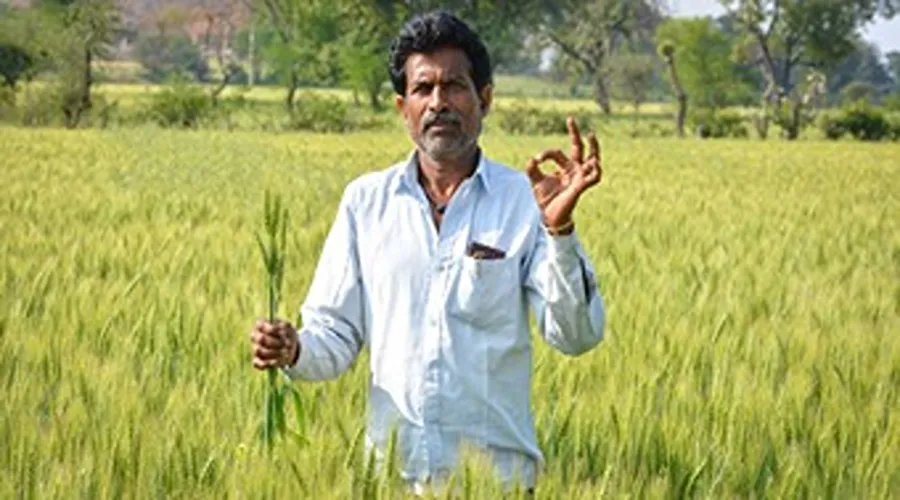Let's learn how IARI-Pusa is providing farmers double the price then MSP?