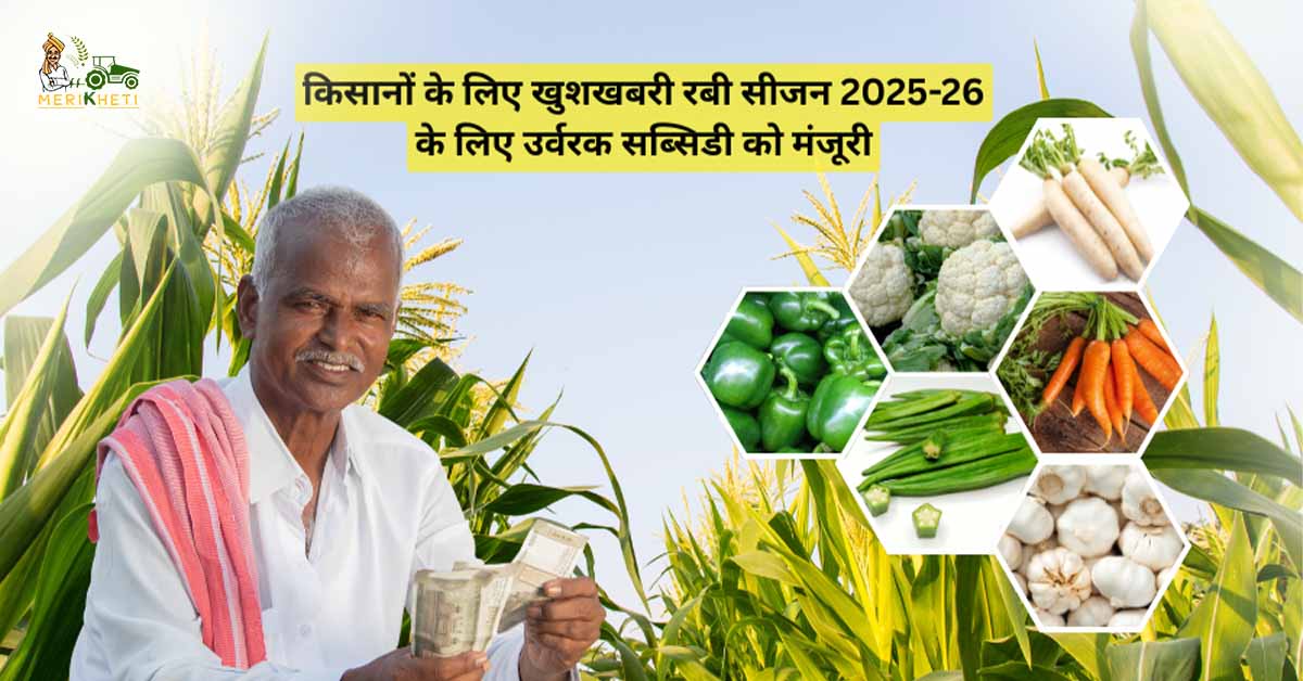रबी सीजन 2025-26 के लिए उर्वरक सब्सिडी को मंजूरी