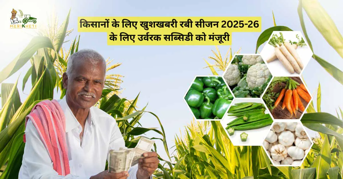 किसानों के लिए खुशखबरी रबी सीजन 2025-26 के लिए उर्वरक सब्सिडी को मंजूरी