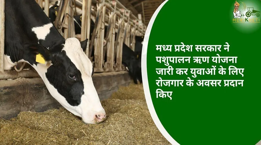 मध्य प्रदेश सरकार ने पशुपालन ऋण योजना जारी कर युवाओं के लिए रोजगार के अवसर प्रदान किए