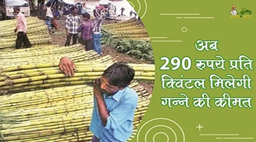 अब 290 रुपये प्रति क्विंटल मिलेगी गन्ने की कीमत
