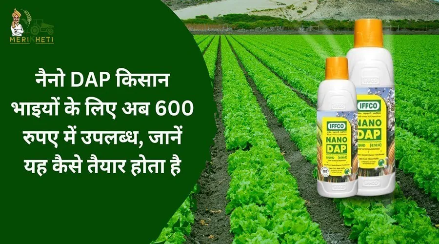 नैनो DAP किसान भाइयों के लिए अब 600 रुपए में उपलब्ध, जानें यह कैसे तैयार होता है