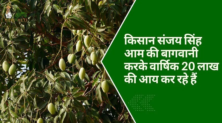 किसान संजय सिंह आम की बागवानी करके वार्षिक 20 लाख की आय कर रहे हैं  