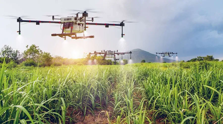  FMCI Director Raju Kapoor expressed the possibility of increasing the use of drones in agriculture in 2024.