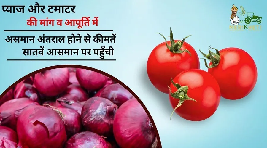 प्याज और टमाटर की मांग व आपूर्ति में असमान अंतराल होने से कीमतें सातवें आसमान पर पहुँची