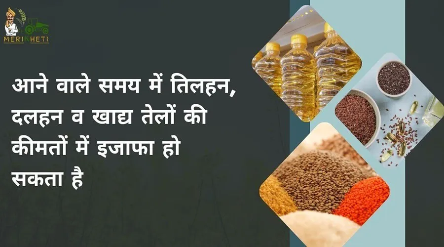 आने वाले समय में तिलहन, दलहन व खाद्य तेलों की कीमतों में इजाफा हो सकता है
