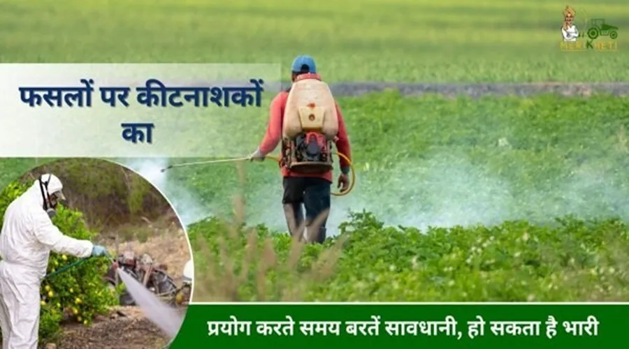 फसलों पर कीटनाशकों का प्रयोग करते समय बरतें सावधानी, हो सकता है भारी नुकसान