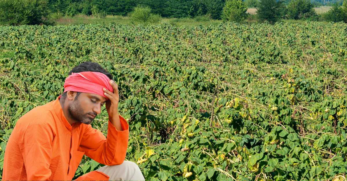 The indifference of the weather took away the smile of these farmers of India.