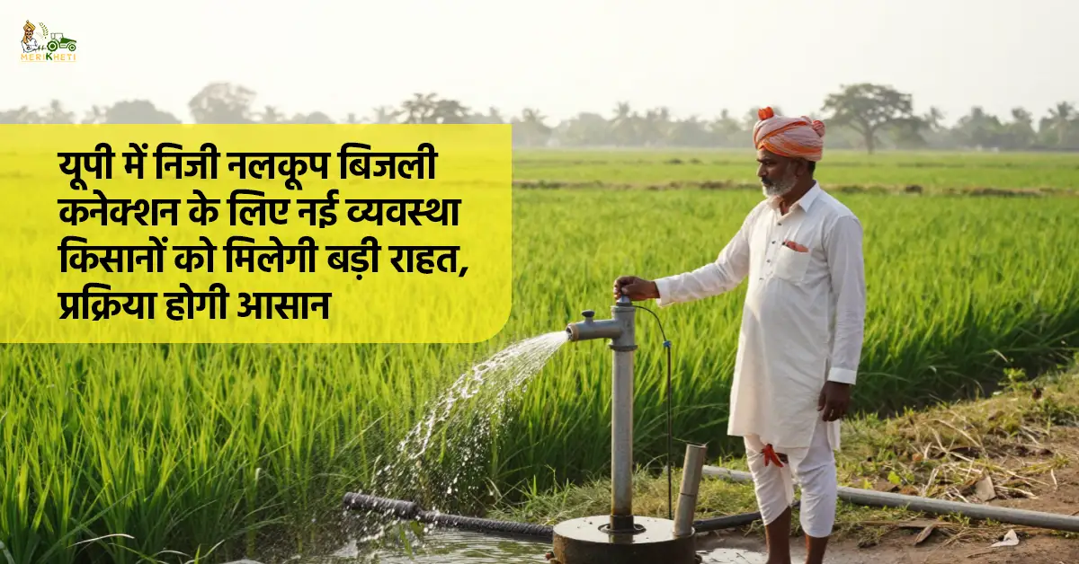 यूपी में नलकूप बिजली कनेक्शन हुआ आसान, किसानों को बड़ी राहत