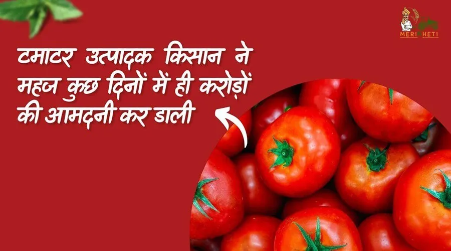 टमाटर उत्पादक किसान ने महज कुछ दिनों में ही करोड़ों की आमदनी कर डाली