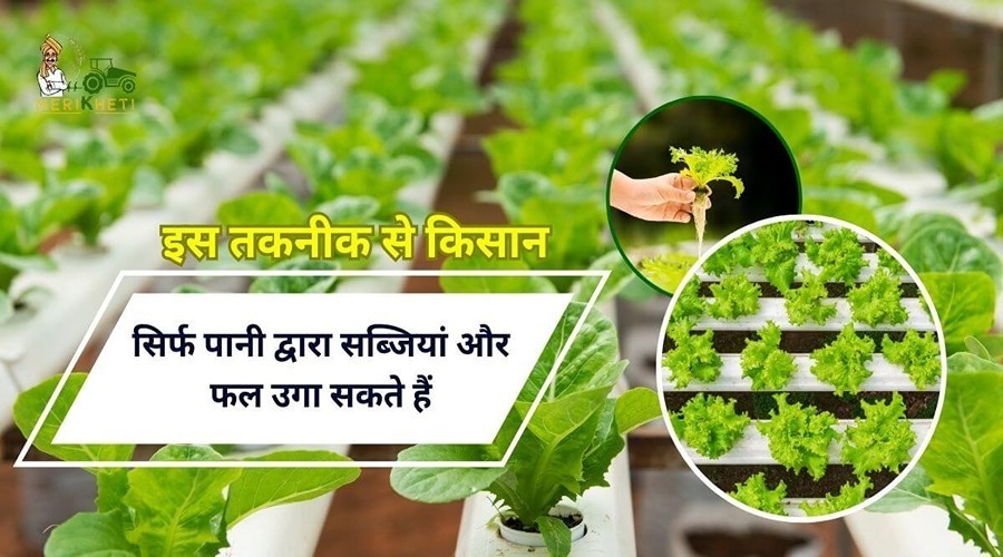 इस तकनीक से किसान सिर्फ पानी द्वारा सब्जियां और फल उगा सकते हैं