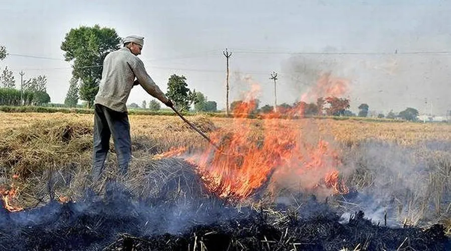 पराली की समस्या से निबटने के लिए केन्द्रीय कृषि और किसान कल्याण मंत्रालय ने कई कदम उठाए