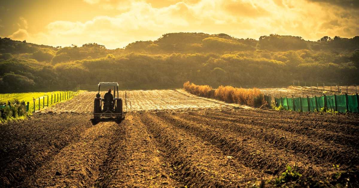 फसल उत्पादकता को बढ़ाने के लिए मई माह में कृषि से संबंधित महत्वपूर्ण कार्य   