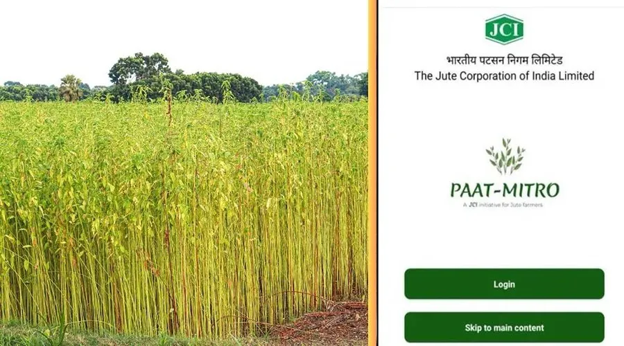 भारतीय जूट निगम ने पाट-मित्रो ऐप लाँच किया, किसानों की इस तरह करेगा मदद