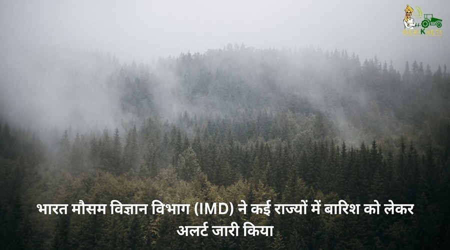 भारत मौसम विज्ञान विभाग (IMD) ने कई राज्यों में बारिश को लेकर अलर्ट जारी किया