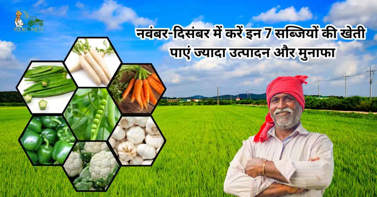 नवंबर-दिसंबर में करें इन 7 सब्जियों की खेती, पाएं ज्यादा उत्पादन और मुनाफा 