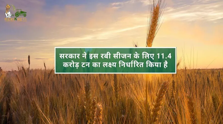 सरकार ने इस रबी सीजन के लिए 11.4 करोड़ टन का लक्ष्य निर्धारित किया है