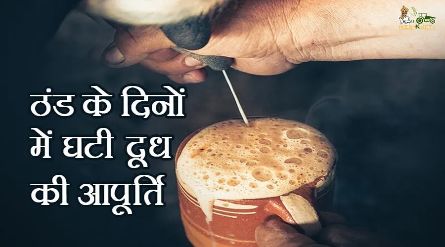ठंड के दिनों में घटी दूध की आपूर्ति