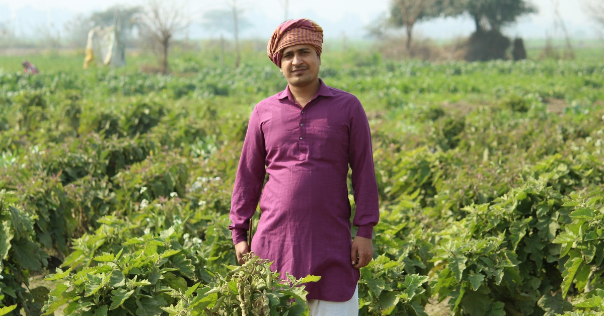 जून में बागवानी फसलों की देखभाल: सिंचाई, खाद, कीट नियंत्रण और अन्य टिप्स