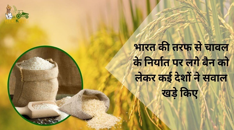 भारत की तरफ से चावल के निर्यात पर लगे बैन को लेकर कई देशों ने सवाल खड़े किए