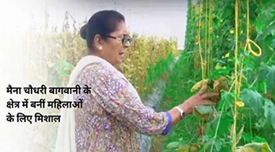 मैना चौधरी बागवानी के क्षेत्र में बनीं महिलाओं के लिए मिशाल