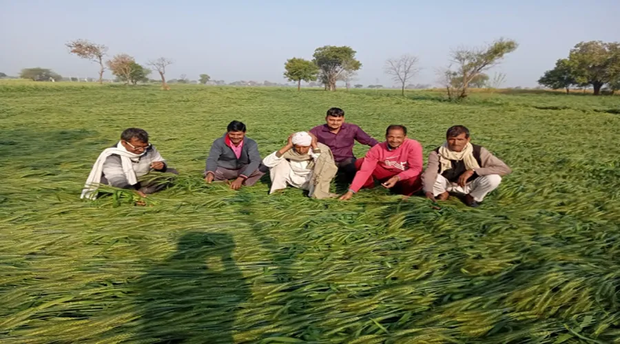 खेती-किसानी पर नहीं लॉकडाउन