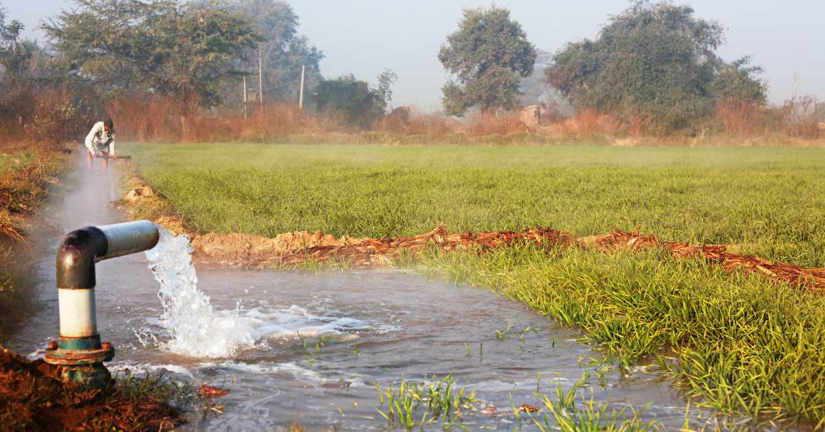 कृषि क्षेत्र में जल के अतिदोहन से विनाशकारी परिणाम झेलने पड़ सकते हैं - कृषि वैज्ञानिक