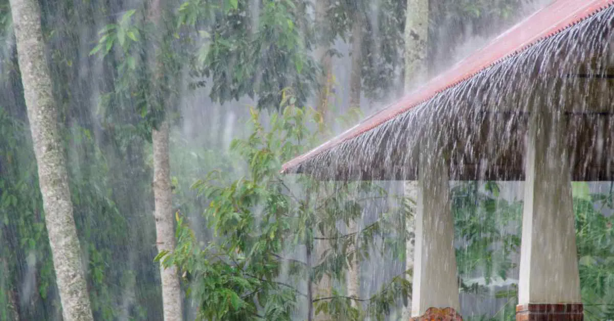मानसून का इंतज़ार ख़तम इन राज्यों में होगी झमाझम बारिश