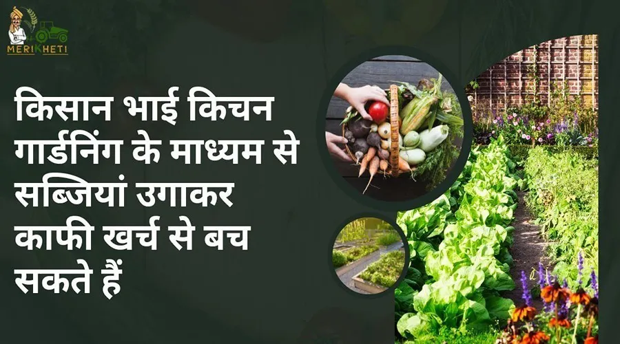 किसान भाई किचन गार्डनिंग के माध्यम से सब्जियां उगाकर काफी खर्च से बच सकते हैं